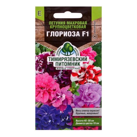 Petunia "Gloriosa" Tensor large -flowered, 10 pcs