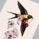 Tattoo on the body Color "Swallow" 26.1x14.6 cm