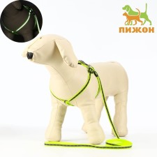The reflective “bones” set, a collar 120 x 1 cm, Osh 26-42 cm, fire 26-42 cm, green