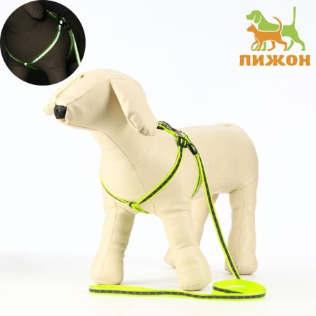 The reflective “bones” set, a collar 120 x 1 cm, Osh 26-42 cm, fire 26-42 cm, green