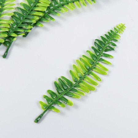 Decor for the creativity of "Nefrolepis sheet" set of 5 pcs green 16 cm