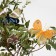 A butterfly for decor and floristry, on a clothespin, plastic, mix, 1 pc., 4 cm and 8 cm