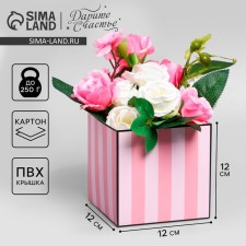 Gift box for flowers with PVC lid, packaging, pink stripes, 12 x 12 x 12 cm