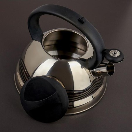 A kettle with a whistle made of stainless steel of a “wave” shares, 2.8 liters, with a heating indicator, a fixed handle-2