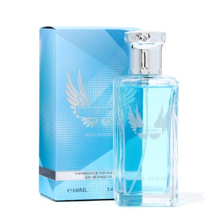Men's toilet water Courageous, 100 ml