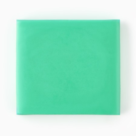 E Lastik Shopping "Klimt", green color-2