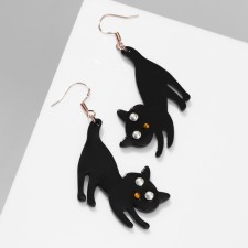 Acryl Earrings 