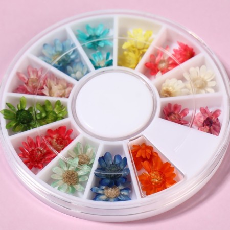 Sukhotsts for the decor "chamomile", voluminous, 12 species, in a case, multi -colored-2
