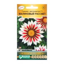 Seeds of flowers of gatsaniya harsh 