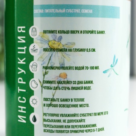 Growing gift of grass "Let all desires fulfill" (chamomile)-4