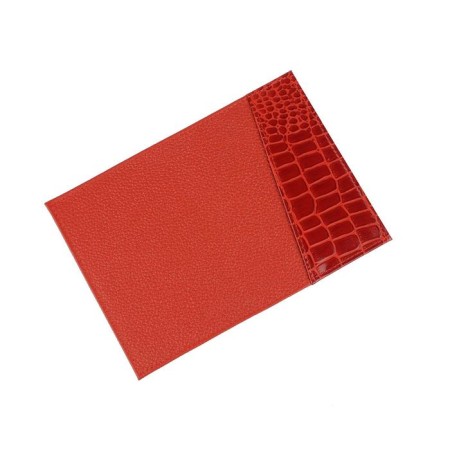 Cover for passport, red color
