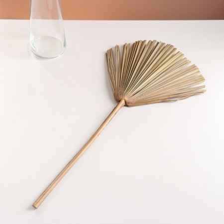 Washingtoni Palm sheet "Fan" 50-60 (+/- 6 cm), 1 pc, col. natural-3