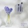 Future Alp Soft Clean Shoes: brush = 21 cm, 13 sponge, d = 6 cm, foam meten, 4 soap napkins