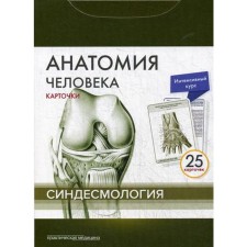 Human anatomy: cards. (25 pcs). Syndesmology. Sapin M.R., Nikolenko V.N., Timofeeva M.O.
