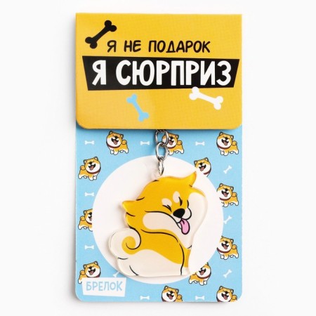 Acrylic key a keychain "I'm not a gift", 9.7 x 4.3 cm-5
