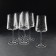A set of glasses for the wine "Extra", 460 ml, decor leaves, 6 pcs