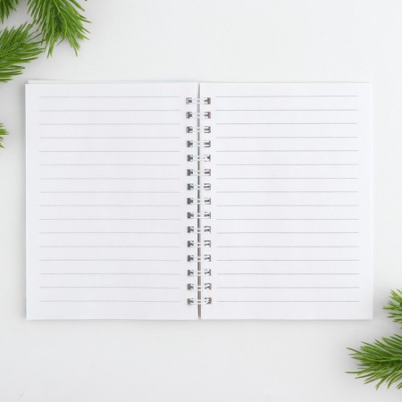 Gift New Year's set "Break in the New Year", pen, notebook A6, 40 liters-4