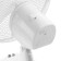 Maunfeld MTF231W fan, desktop, 25 W, 2 speeds, 150 cm, white