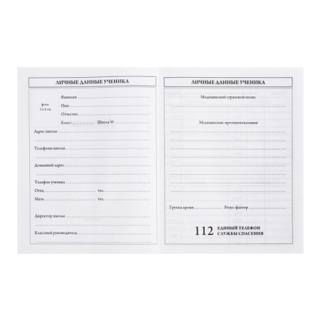 Diary for grades 5-11, 48 sheets "Anime Eye", solid cover, glossy lamination-4