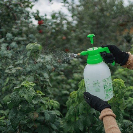 Pompoval sprayer, 2 l, ABS plastic, Greengo-6