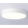 LED ceiling LED Ambrella Orbital Air Alum FV5531, 60W, LED, white color