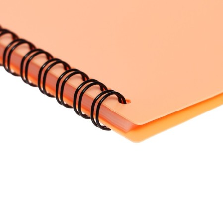 Folder 20 inserts on spirals, A4, 600 μm, Erichkrause "Matt Pastel Bloom", texture "Sand", mix-6
