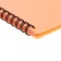 Folder 20 inserts on spirals, A4, 600 μm, Erichkrause "Matt Pastel Bloom", texture "Sand", mix