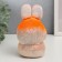 Growing gift Eco -Zhizhivchik "Bunny Novice" mix