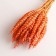 A set of dried flowers "wheat", a ban 35-40 pcs, length 55-65 (+/- 6 cm), orange
