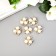 Decor for creativity plastic "Flower with pearls" set of 6 pcs 2x2 cm