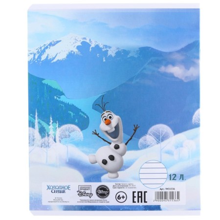 Notebook in a ruler of 12 sheets, 5 types of mix, cover coated cardboard, cold heart-7
