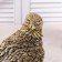 HOUSE OF TEMPLE FRANDER "Eagle", color gold, h = 31 cm, d-7 cm