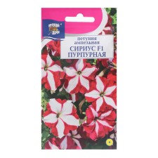 Flower seeds Petunia 