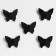 Wall -wall decor "Butterflies" 11 cm x 13 cm, black, (set 5 pcs)