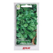 Seeds of Kors-Salat 
