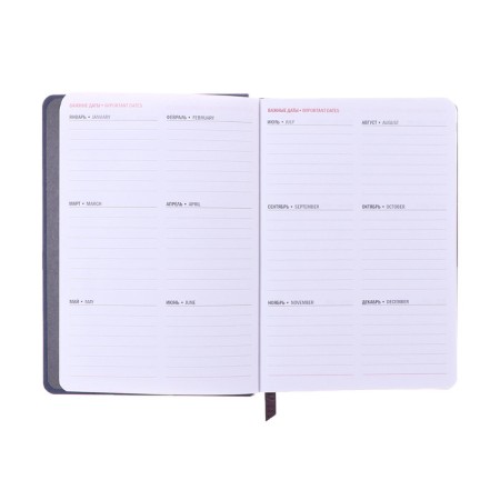 Dated diary of 2025, A6+, 176 sheets "Lyon", solid cover, pancake embossing, with liesa, block 80 g/m2, gray-8
