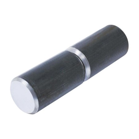 Sharnir "Kirov" Secret PG-50 (50x180) for welding with a ball