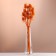 Set of dried flowers "Brush", banch 7-8 pcs, length 50 (+/- 6 cm), orange