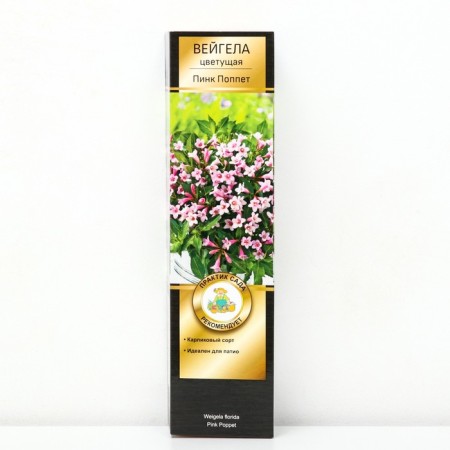 Weigel flowering Patio Lux "Pink Popet", 1 pc, tube, spring 2025