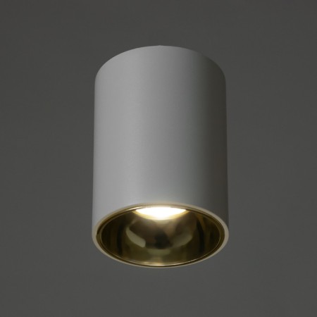 Rollfi Light 4000K 10W DIM220 IP54 white gold 7.5x7.5x10cm-2
