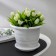 Pot with the pallet "Viola", 1 l, the color is white