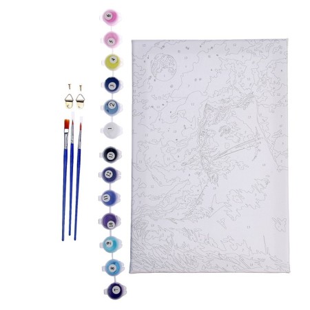 Picture on numbers on canvas with a panther in the night subframe 20x30 cm-4