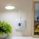 Sconces in the socket "Joyce" LED 7W white 1.5x12x31 cm