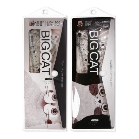 The geometric "cat" set (ruler, transporter, 2 squares) in the pencil case, mix