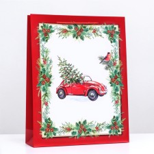 Gift package 