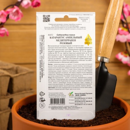Flower seeds Cataranth AMP. Mediterranen, Pink, 7 pcs-1