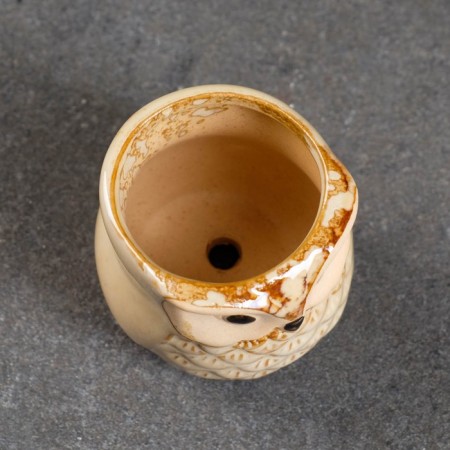 Pot "Owl Ava" 6x6x6.5cm, mix-9