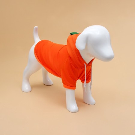 Sweep "Favorite Carrot", size XL (DS 40, OG 56 cm)