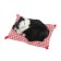 Toy on a car panel, a cat on a pillow, black and white color