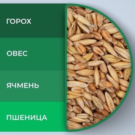 Feed "Eshka" for all types of rodents, 4 cereals, 400 g-3